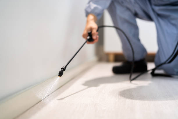 Licensed Cockroach Control service in Upton, WY - Nex Pest Control