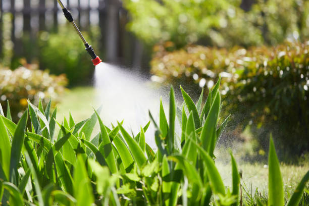 24/7 Emergency Cockroach Control experts in Upton, WY