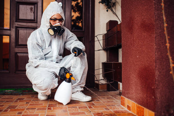 Reliable Cockroach Control contractor in Upton, WY by Nex Pest Control